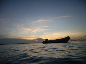 One last look before dropping down for a transition dive. by Lisa Hinderlider 